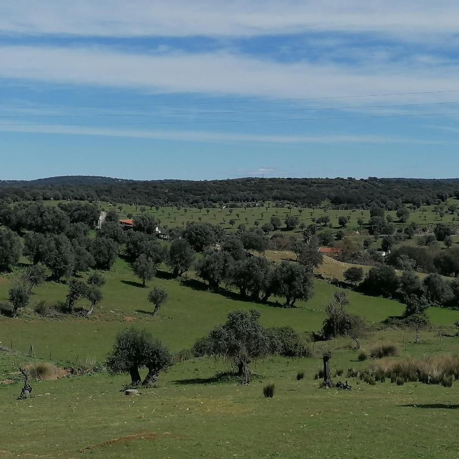 Casa Do Cabeco - Termas Da Sulfurea