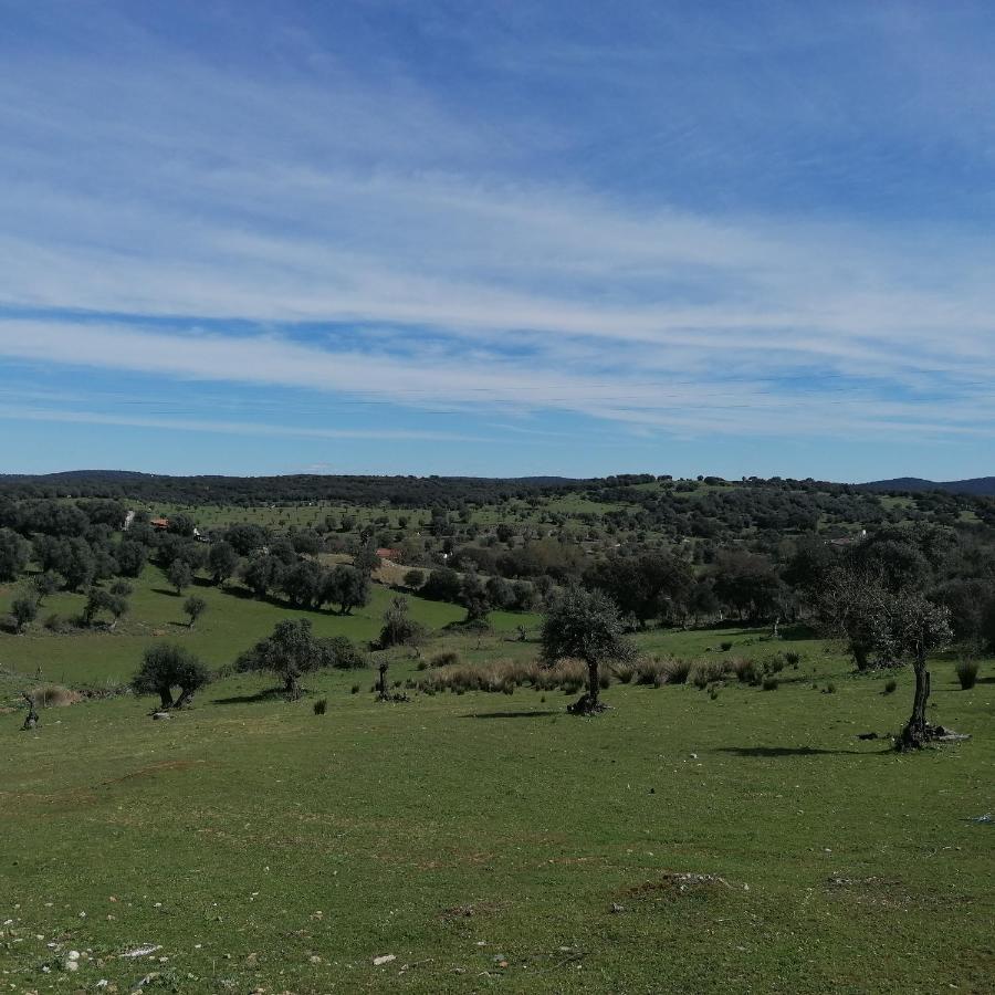 Holiday home Casa Do Cabeco - Termas Da Sulfurea