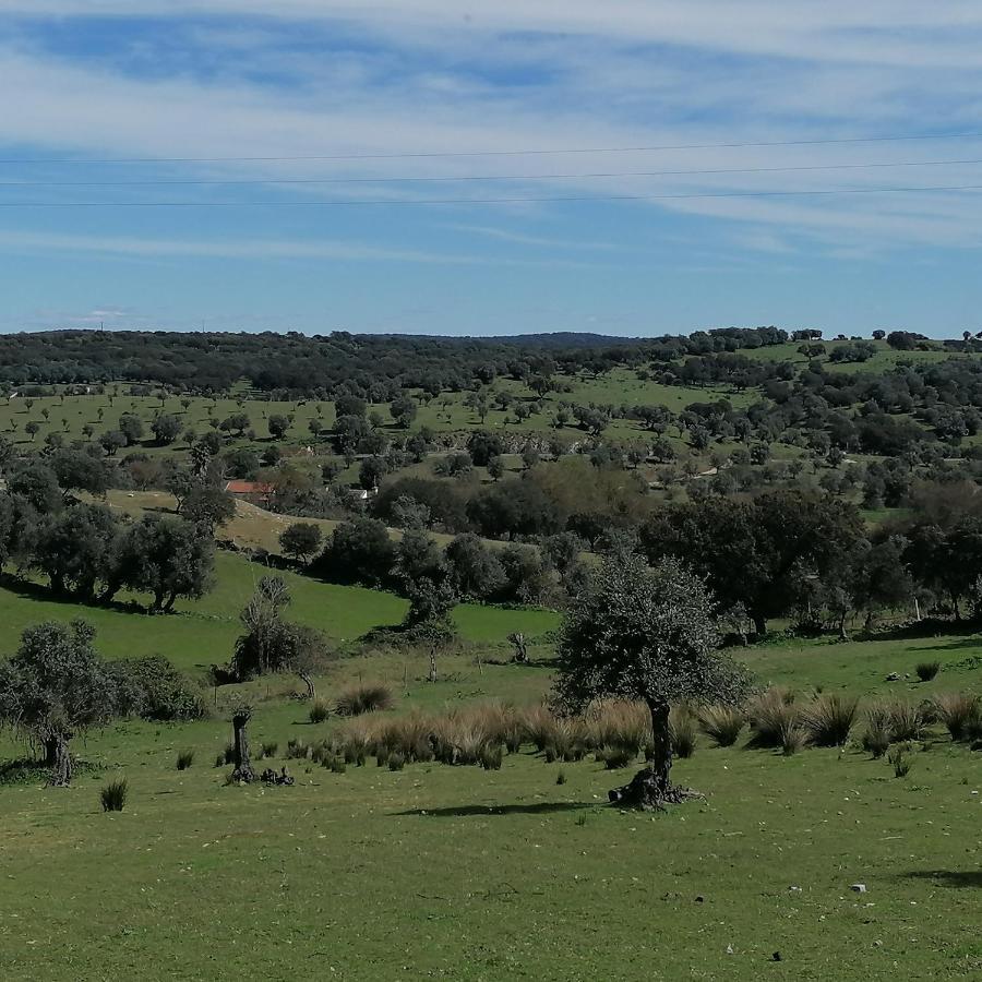 Casa Do Cabeco - Termas Da Sulfurea Holiday home *